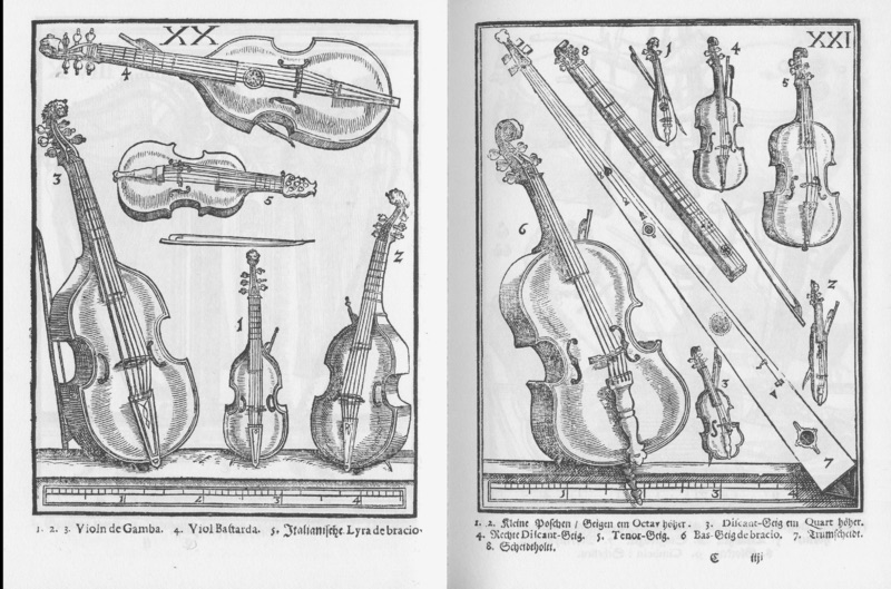 la strana coppia contrabbasso e fisarmonica